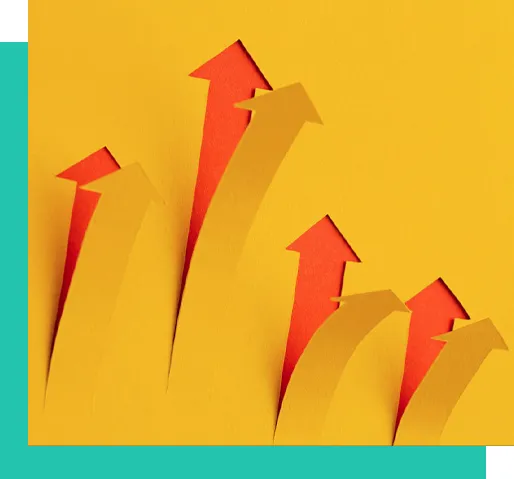 Customization and Flexible Delivery Models